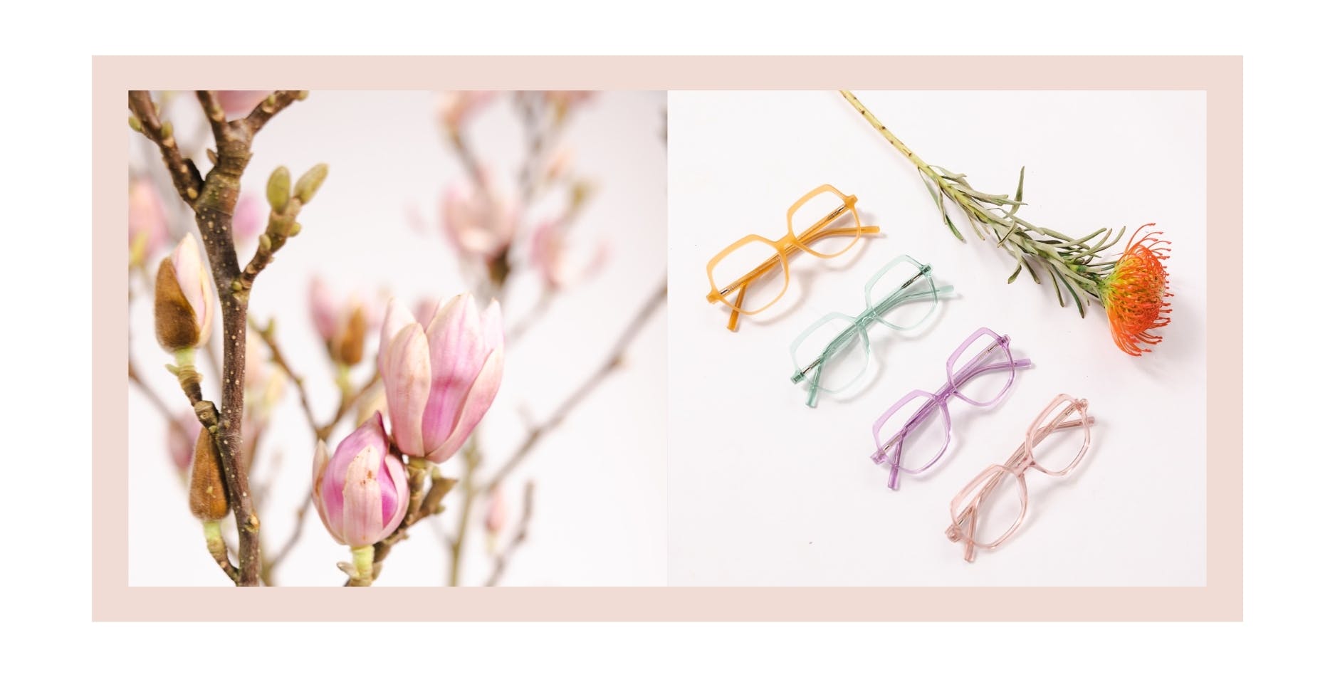 An image of flowers next to four pairs of reading glasses in colours for spring 2023